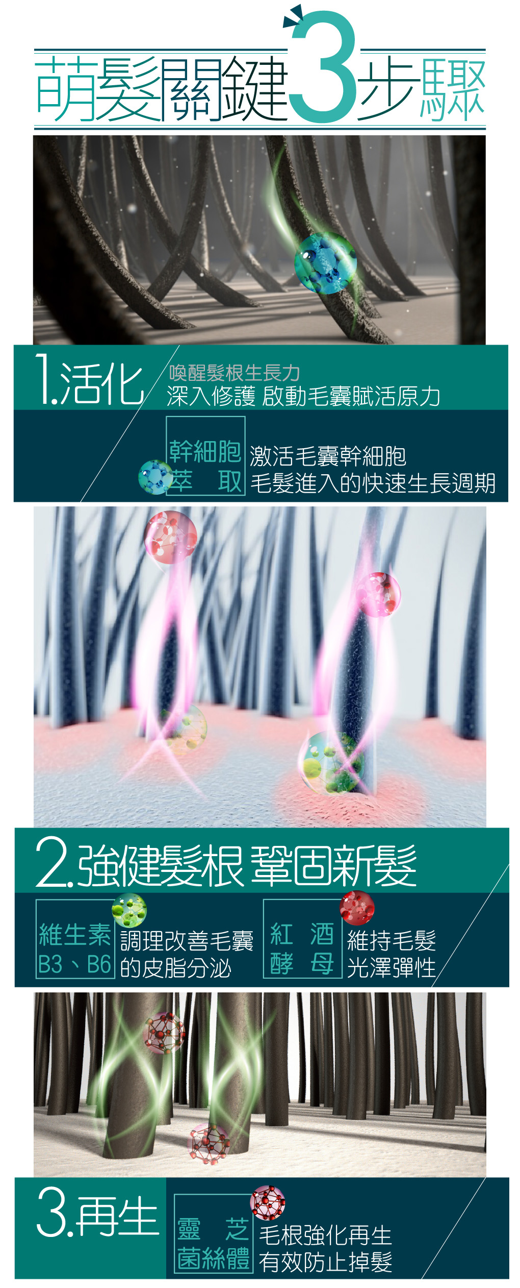 我愛簡單購 IEasyShopping 【髮之鑰】健髮樂-健髮液(5瓶)