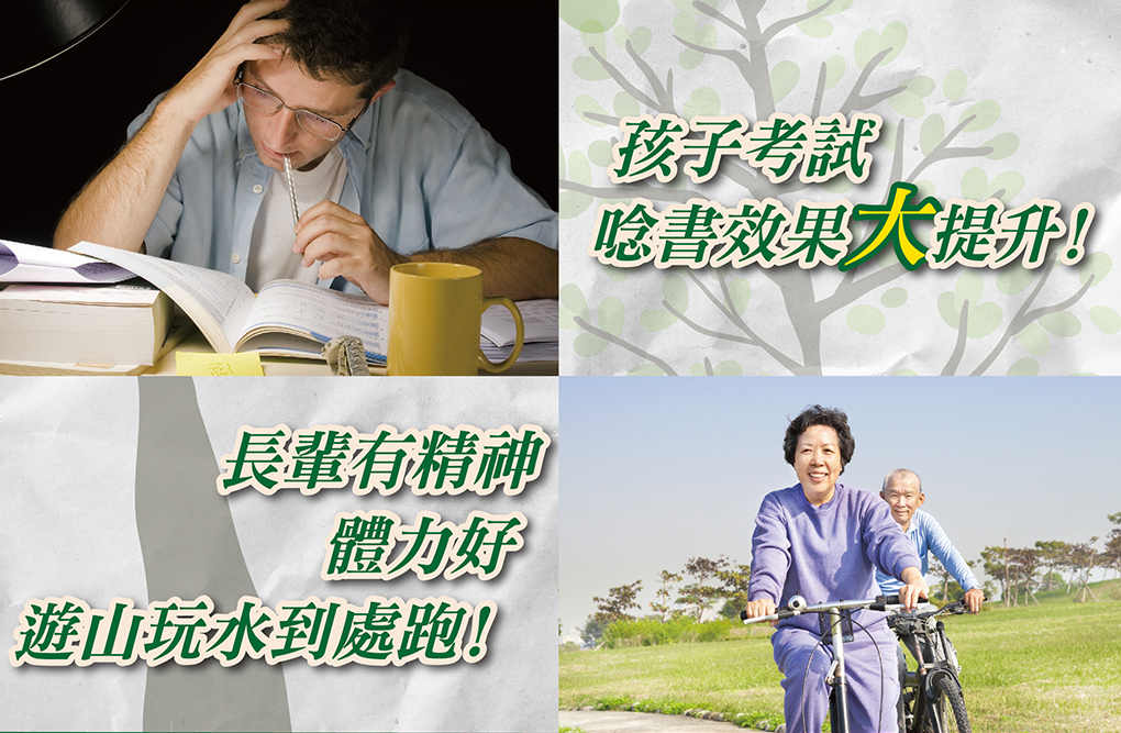我愛簡單購 IEasyShopping 【達特漢司】冬蟲夏草膠囊(買10送3)