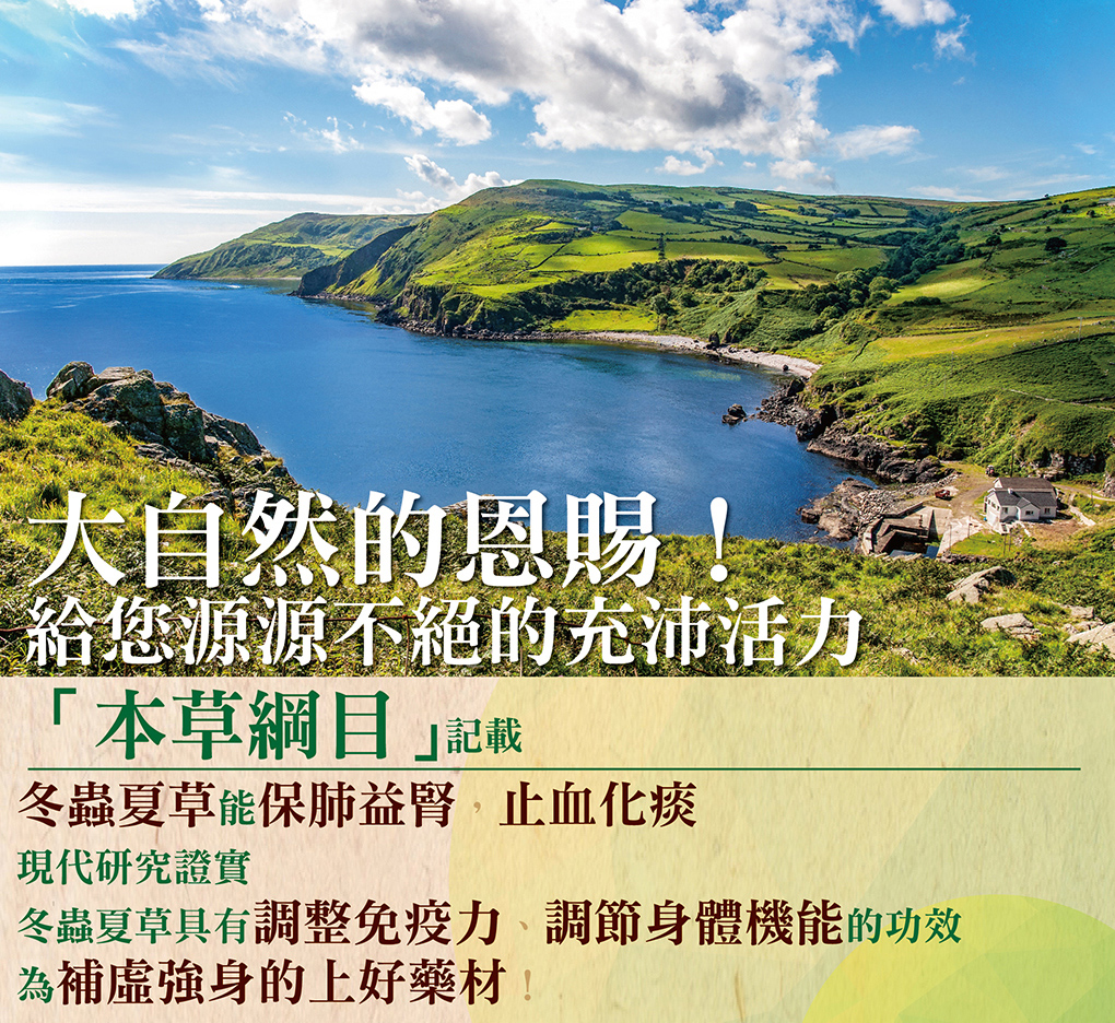 我愛簡單購 IEasyShopping 【達特漢司】冬蟲夏草膠囊(買10送3)