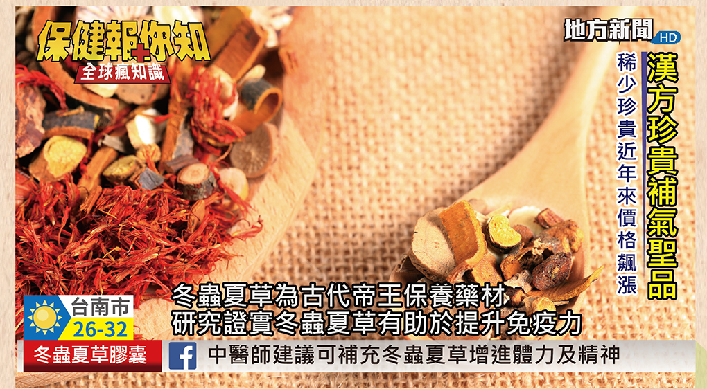 我愛簡單購 IEasyShopping 【達特漢司】冬蟲夏草膠囊(買10送3)