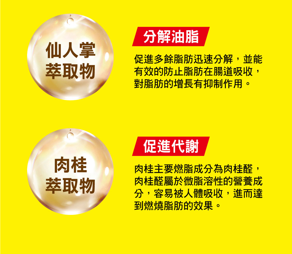 我愛簡單購 IEasyShopping 【歐萃OTREE】爆纖速窈精華