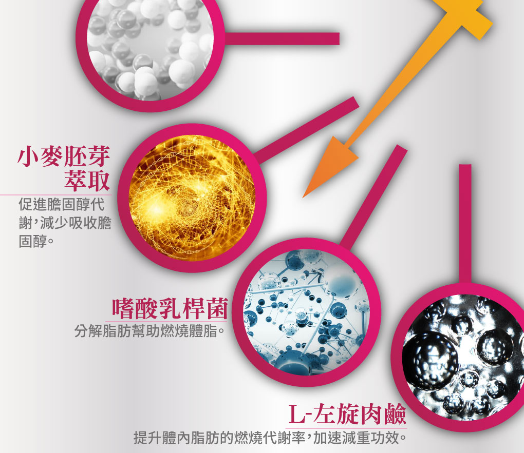 我愛簡單購 IEasyShopping 【SOSOLA】超燃素 (12盒)